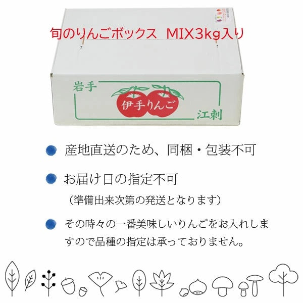 岩手県 江刺産りんご 菅野農園 旬のりんごBOX(MIX)3kg【常温・送料込】