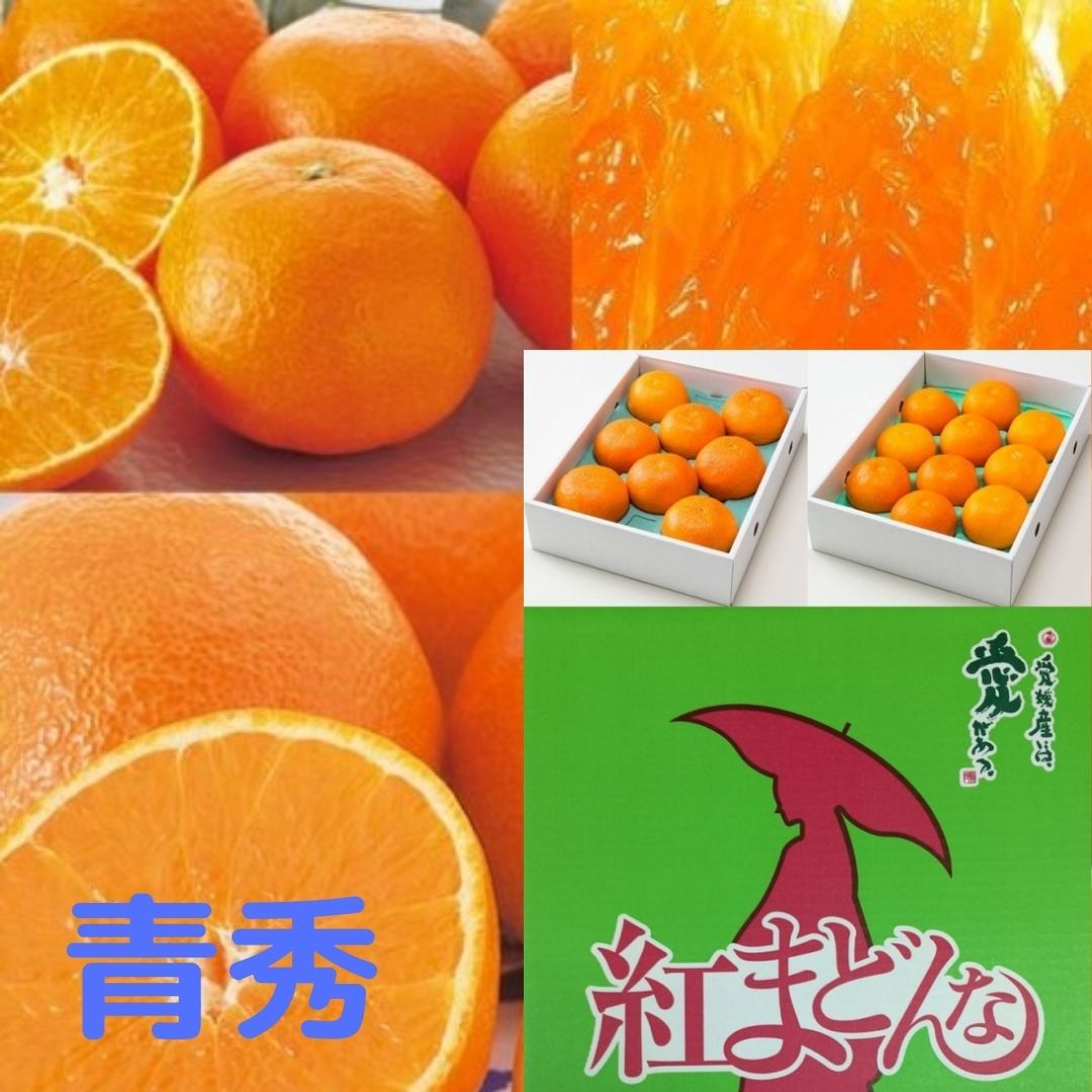 ★発送は12月上旬から★愛媛県産 紅まどんな【青秀】約2.7kg 3L~4L(8~10個入)