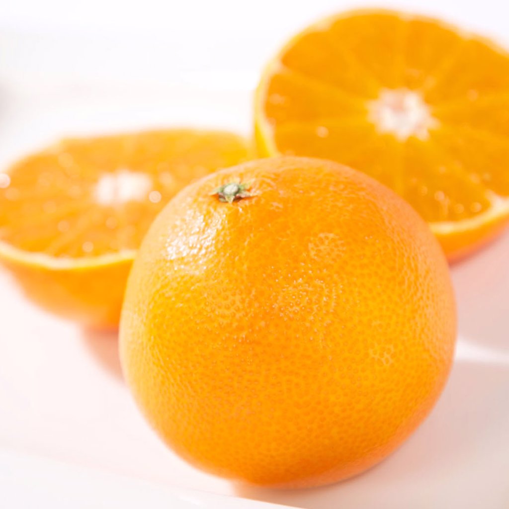 【11月下旬頃から発送予定】まごころまどんな 秀品