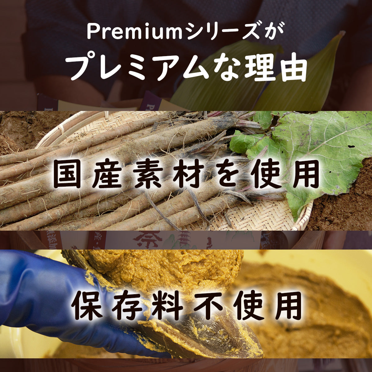 【国産・無添加 Premium】金ごぼう
