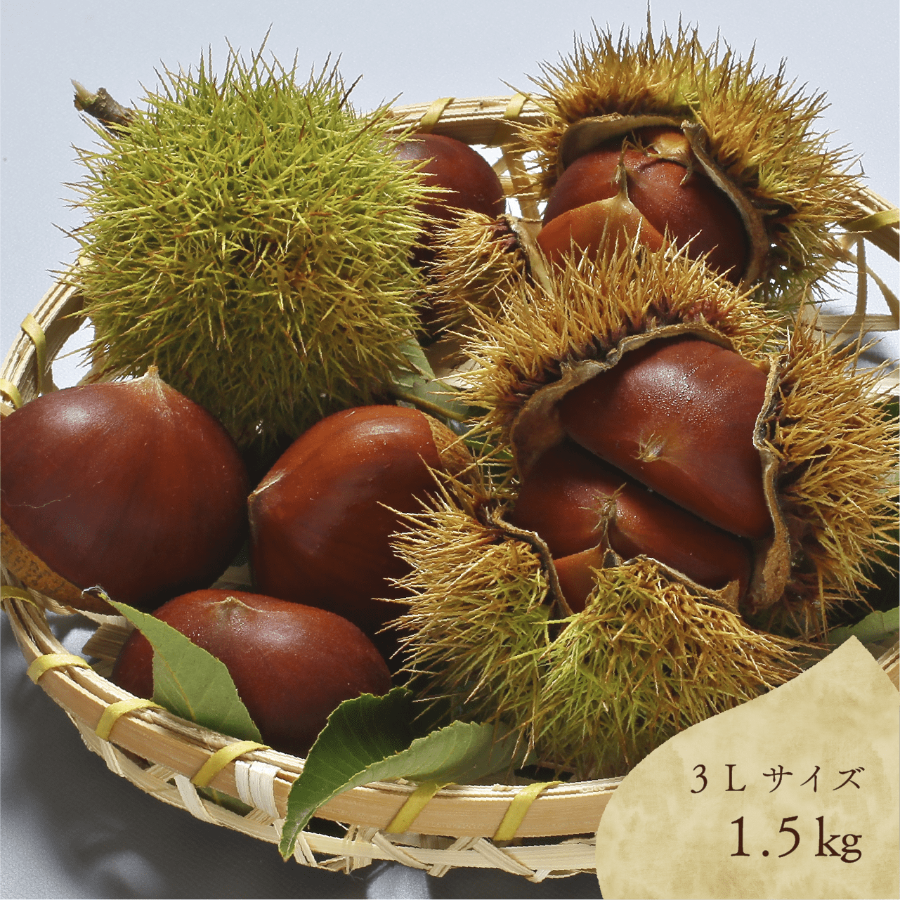 最高級丹波栗3Lサイズ