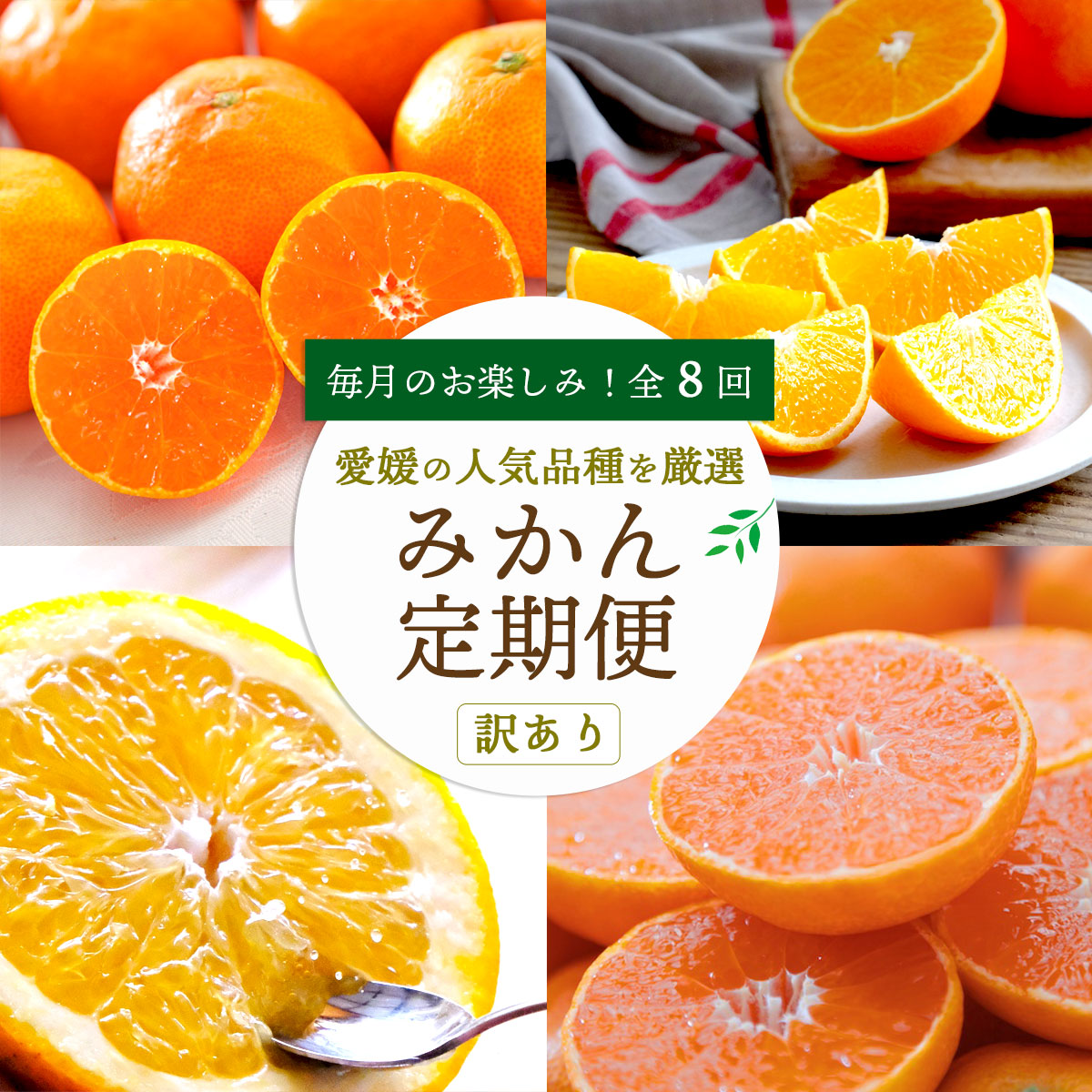 旬の愛媛産かんきつを堪能!みかん・かんきつ定期便【全8回】