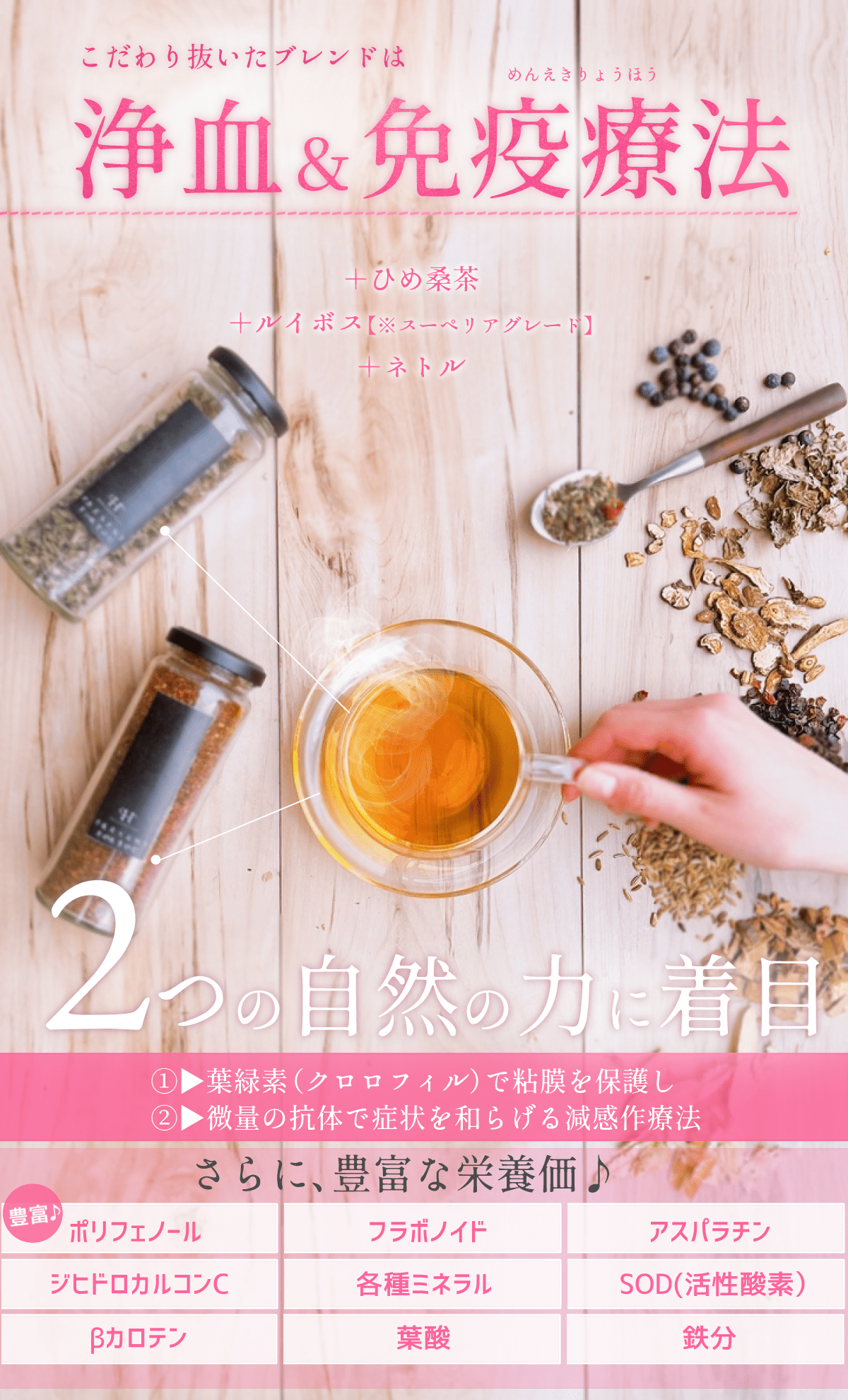 \豪華★プレゼント/【春ひめ桑茶5個入】【お徳用・ひめ桑茶3袋セット・送料無料】 毎日デトックスティー♪『ひめ桑茶』 体の中からスッキリ、キレイ!