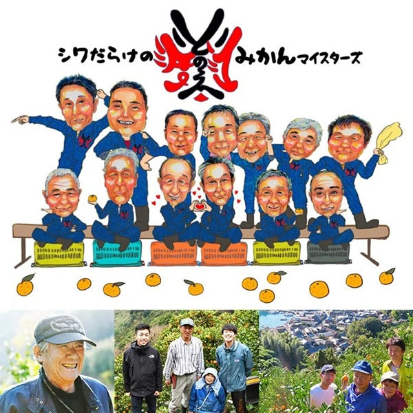 【送料無料】冷凍みきゃんセット みきゃん盛り 温州みかん18個セット(皮付き 10個・皮無し8個)