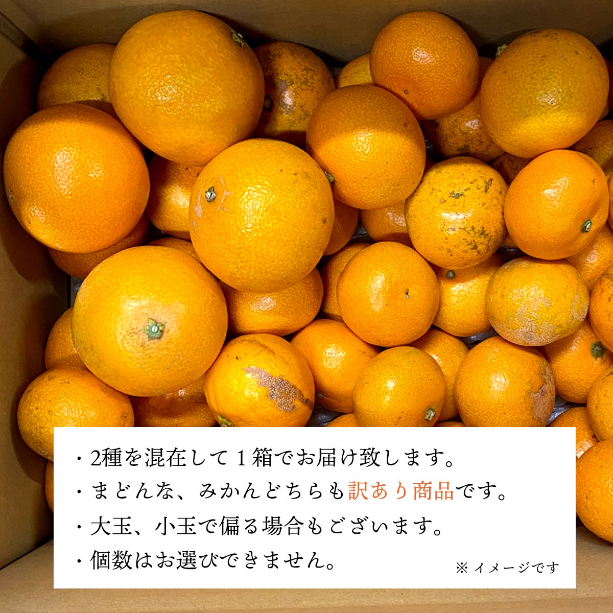 【11月下旬頃より順次出荷】愛媛の人気品種を食べ比べ!みかん・まどんな食べ比べセット