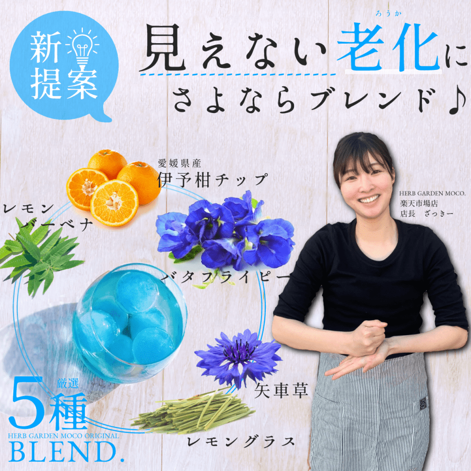 【送料無料・2袋セット】この夏、1番の人気者! 『愛媛いよかんの空色ミントティー』 水出し用