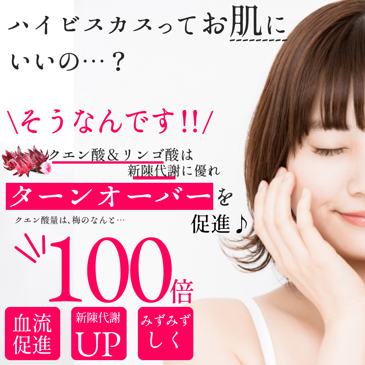 【送料無料・ネコポス便】真っ赤な太陽!『愛媛レモンの紅玉色ハイビスレモン』 水出し用