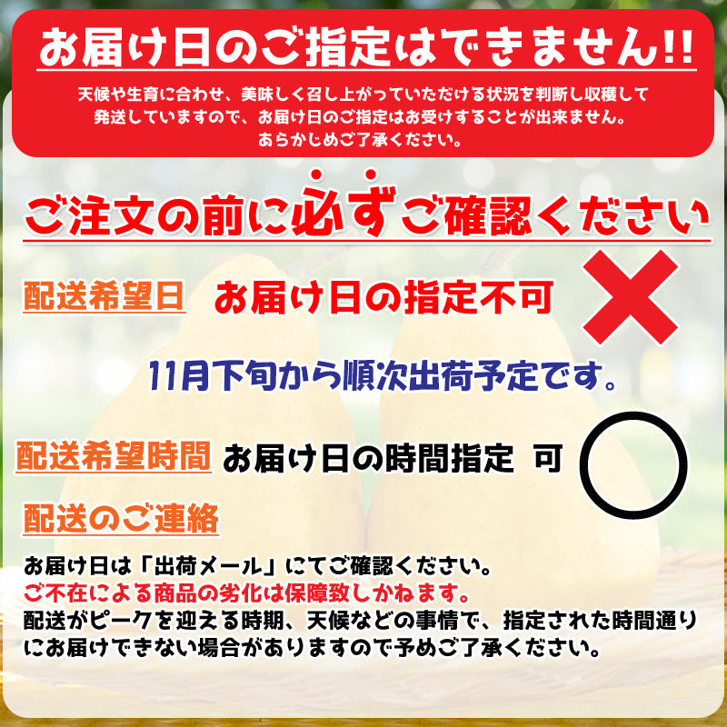 【申込期間:12/15迄】【送料込】新潟市産 和梨と洋梨の贅沢セット 秀品 ル レクチエ1kg 新興2kg セット 贈答用 新潟市南区 洋ナシ
