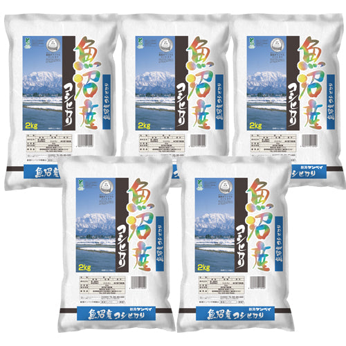 【送料込】令和7年産 新米 魚沼産コシヒカリ 八海山 選べる 10kg お米 ブランド米 精米 白米 見田元七商店 ※ 国産米