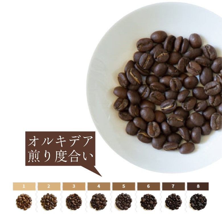 【コーヒー】超高圧熟成珈琲 RiCO ドリップバッグ「オルキデア」5袋