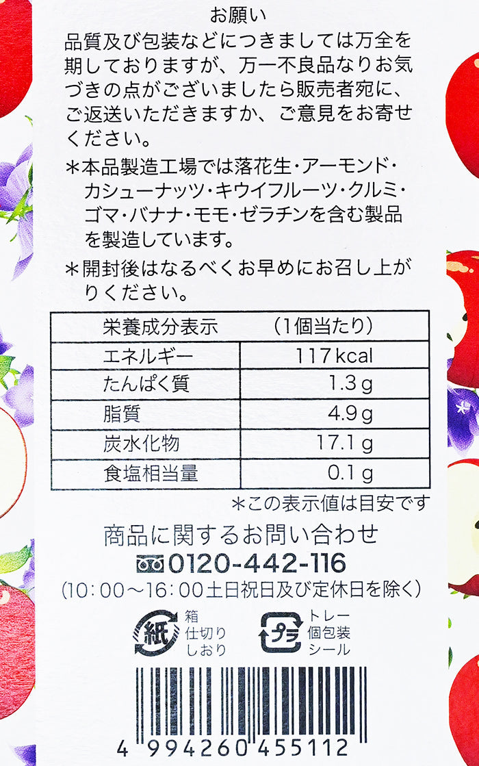 はやし 林林檎 10個 信州長野県りんごのお土産お菓子
