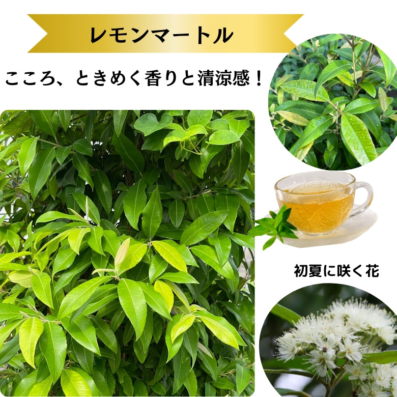 『ときめき』 こころ、ときめく清涼感と香りを楽しむハーブティー! 愛媛ゆずのおひめ様ブレンド