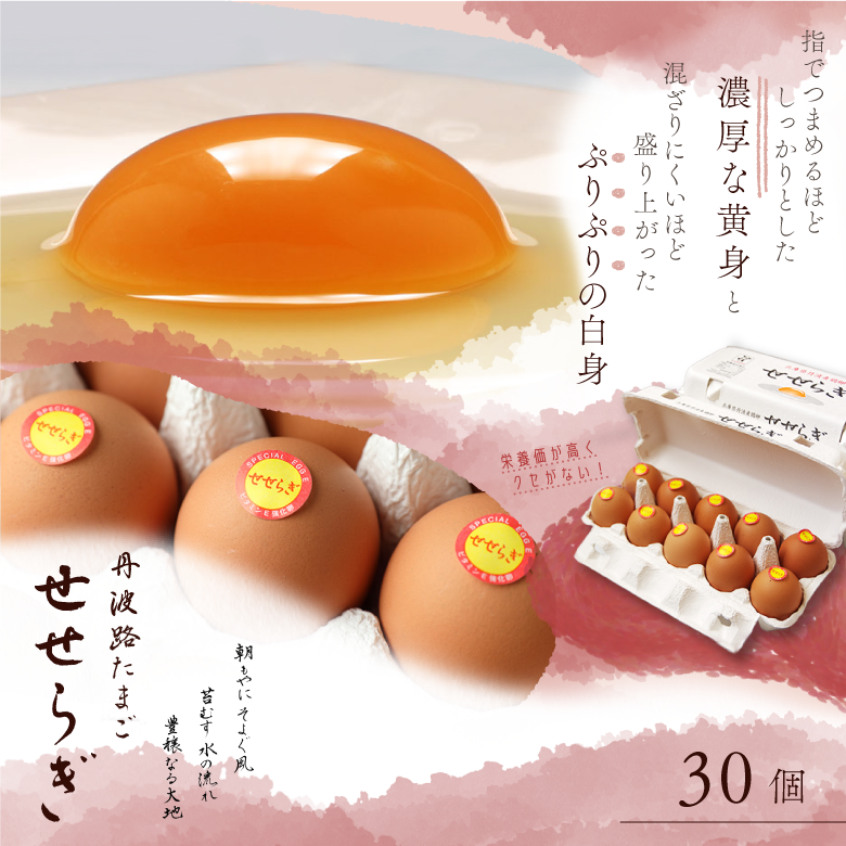 丹波路たまご せせらぎ30個