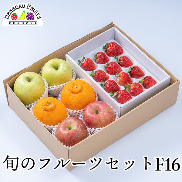 【予約販売】旬のフルーツセットF16(苺・赤林檎・青林檎・デコポン)