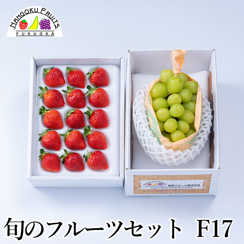 【予約販売】旬のフルーツセットF17(あまおう・シャインマスカット)