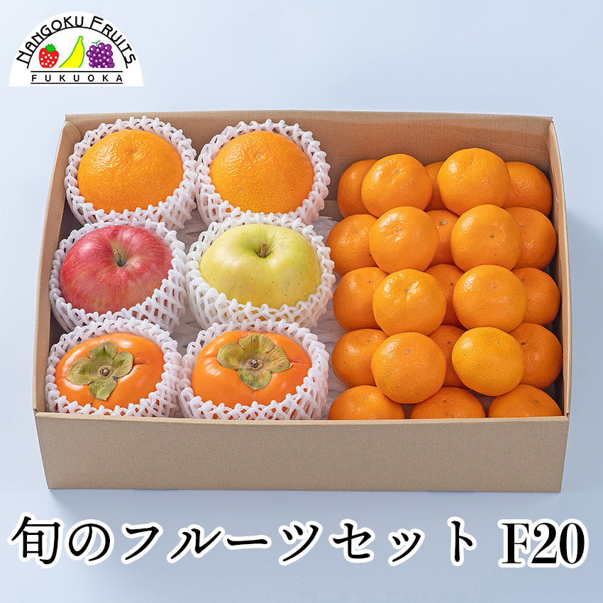 【予約販売】旬のフルーツセットF20(デコポン・林檎・柿・蜜柑)