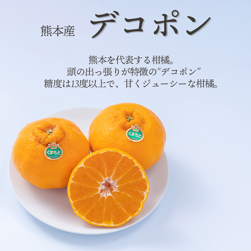 【予約販売】旬のフルーツセットF01(赤林檎・柿・デコポン)