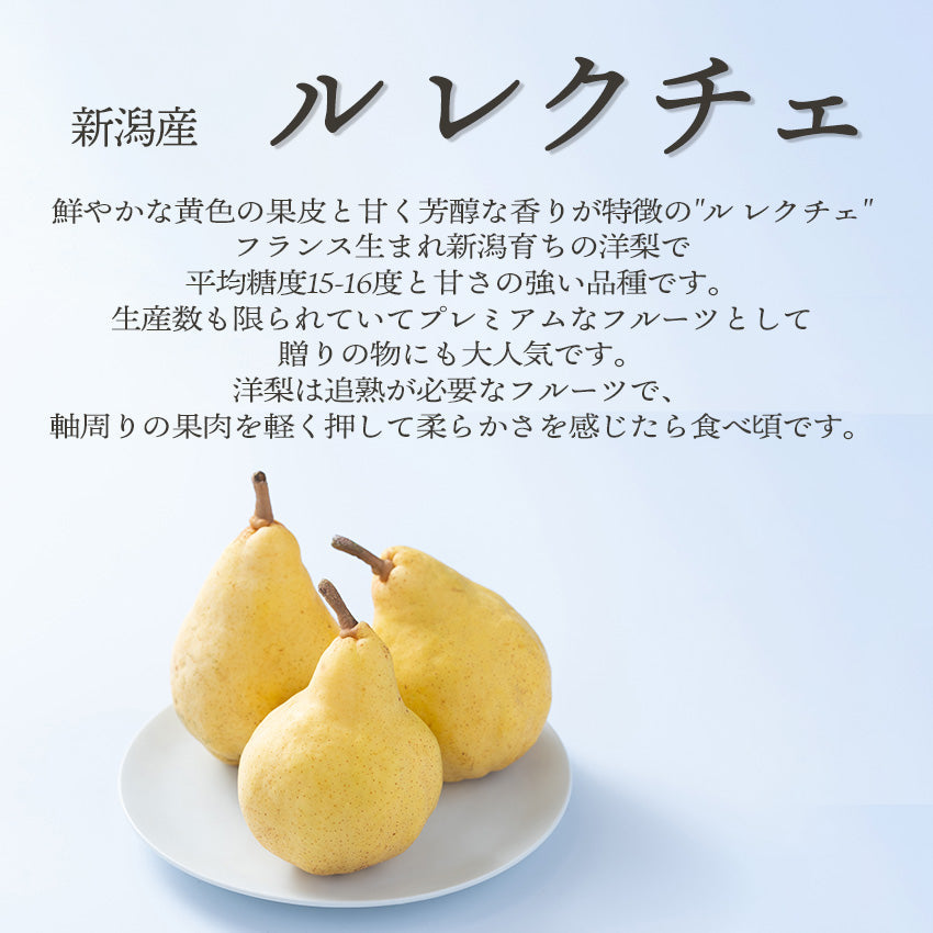 【予約販売】旬のフルーツセットF14(ル・レクチェ・苺)