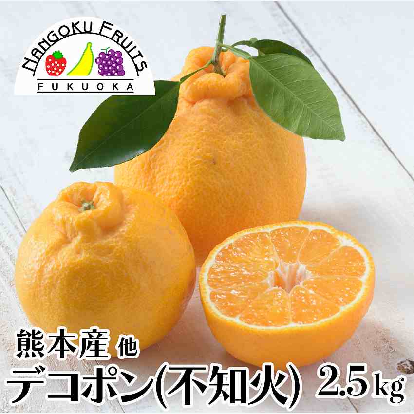 【予約販売】熊本産他 デコポン(不知火)