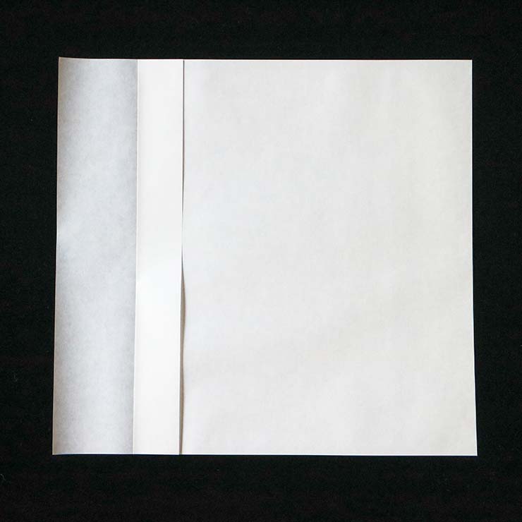 スチーム加熱済み焼き鳥 専用 包装資材(包材/袋/フードトレイ) 串物袋 100枚 5本~15本 白無地 食品 紙製でプラと比べて環境にやさしい 模擬店 お花見 お祭り バザー 屋台 食品 グルメ 文化祭