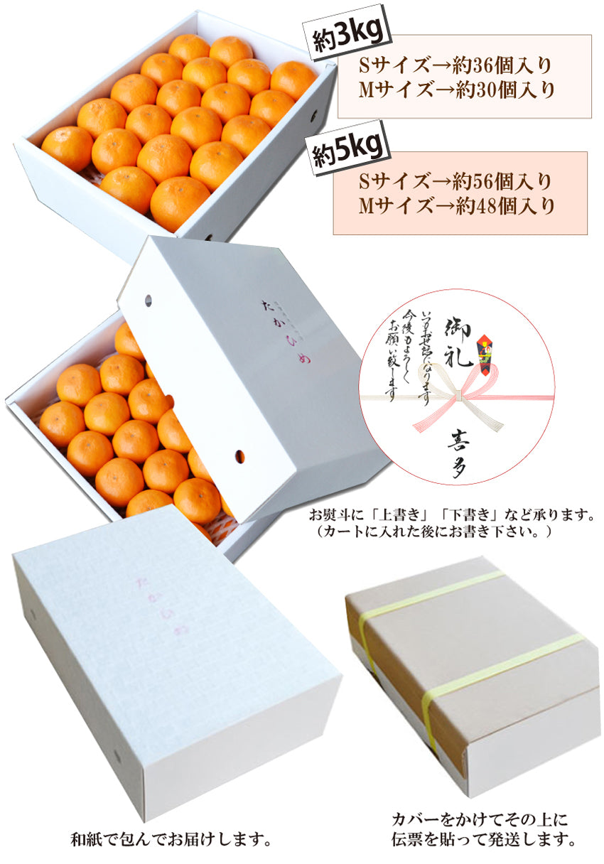【佐賀県太良産 最高級みかん】たかひめ≪Sサイズ≫