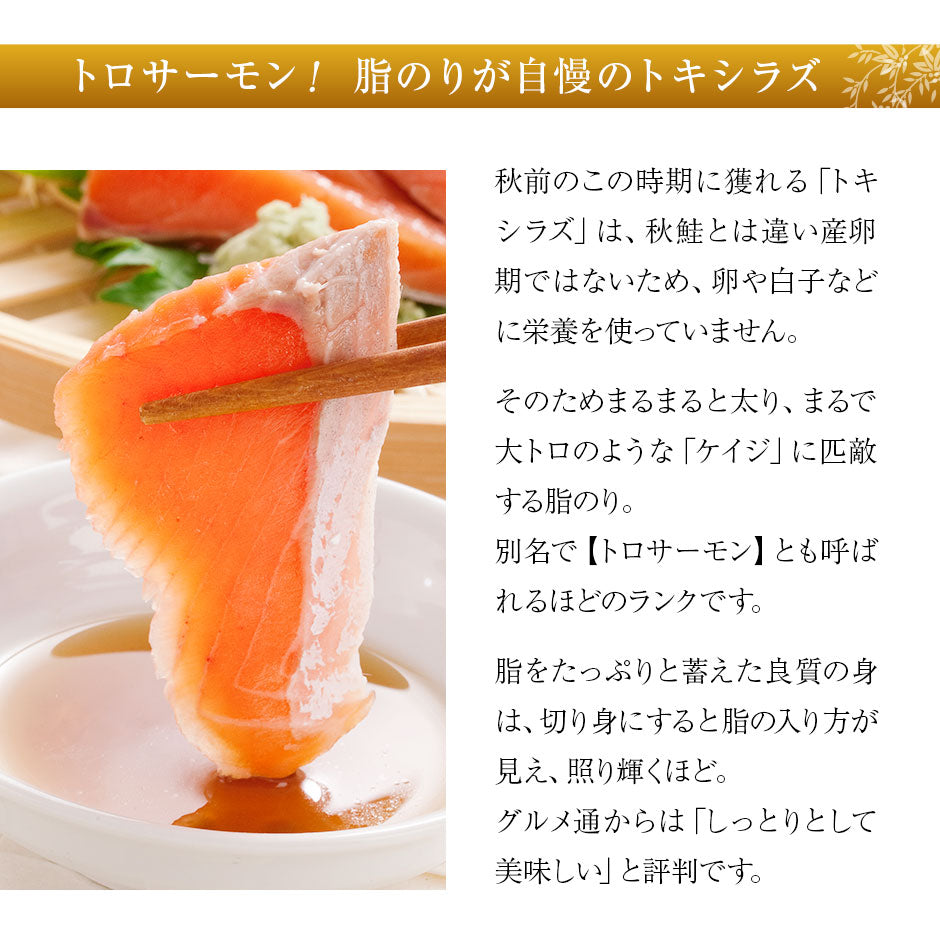 北海道産 生時鮭(トキシラズ) お刺身 300g(150g前後×2)【送料無料】