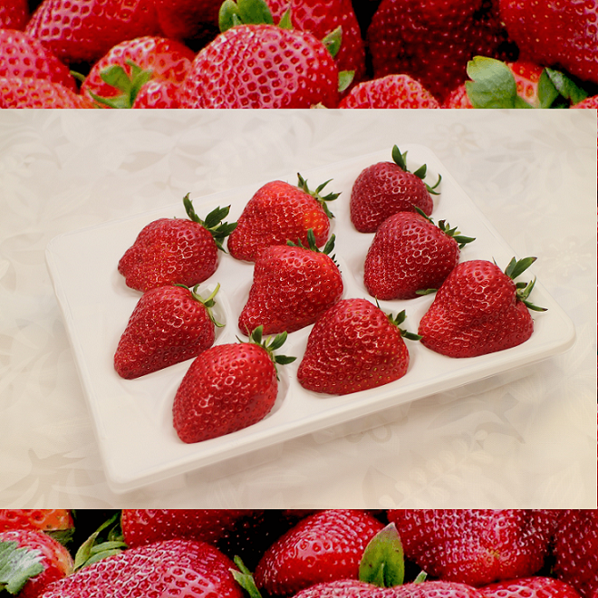 【水素水で育てた広島産いちご】安芸こまち 希少特大セット / 9個入り (380g相当) ★数量限定★