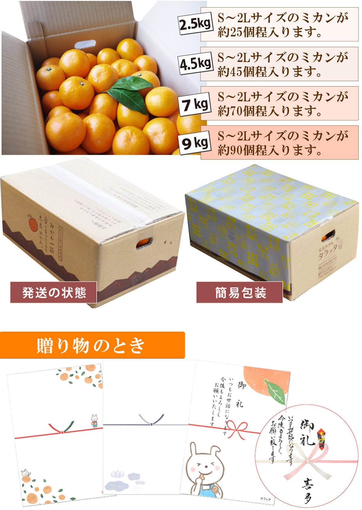 【新鮮直送!】★収穫したミカンを翌日発送!★とれとれ直送便