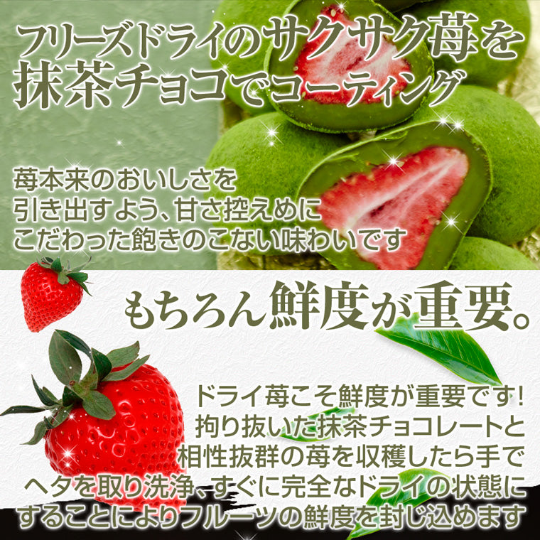 【送料込み】神戸苺トリュフ(R)・抹茶 お歳暮 ハロウィン スイーツ ギフト 洋菓子 お菓子 チョコレート 御礼 内祝い プレゼント