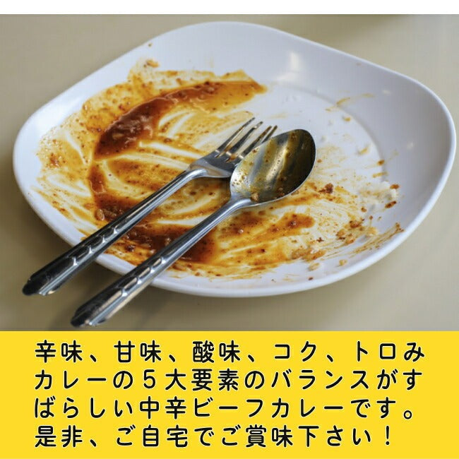 おおみなと海自カレー護衛艦ゆうだちカレー(中辛ビーフカレー) 青森 むつ 海上自衛隊 ミリめし 海軍カレー ご当地カレー 駅 SA サービスエリア 売店 お土産 味の海翁堂