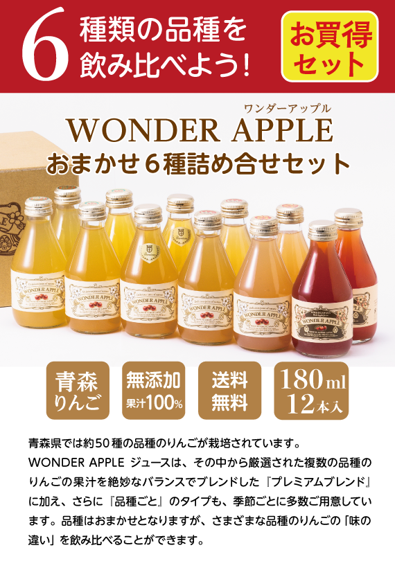 青森県産　りんごジュース　ＷＯＮＤＥＲ　ＡＰＰＬＥ　おまかせ　６種詰め合せセット　１２本入り【送料無料】