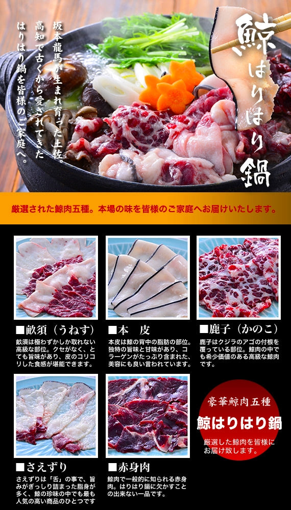 【入荷しました！】豪華　鯨肉五種詰め合わせ　鯨はりはり鍋