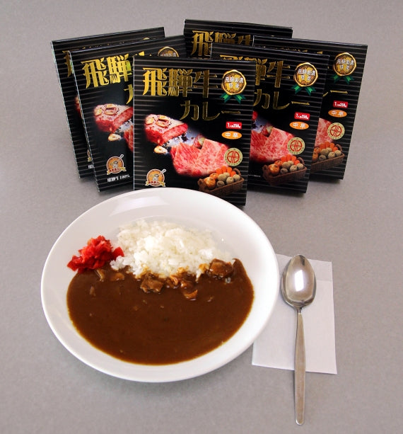 【送料無料】飛騨牛カレー(中辛/1人前250g×6個入り)