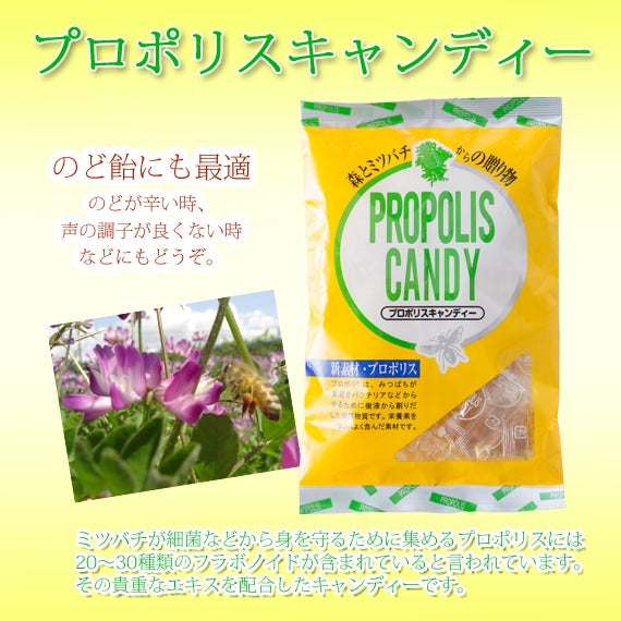 プロポリスキャンディー