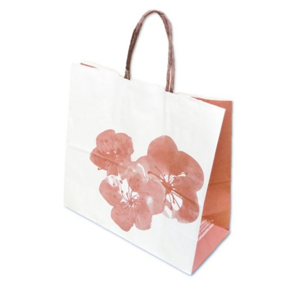 紙袋 小 (平安堂梅坪オリジナルの手提げ袋)