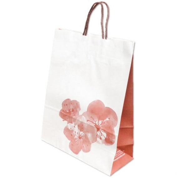 紙袋 中 (平安堂梅坪オリジナルの手提げ袋)