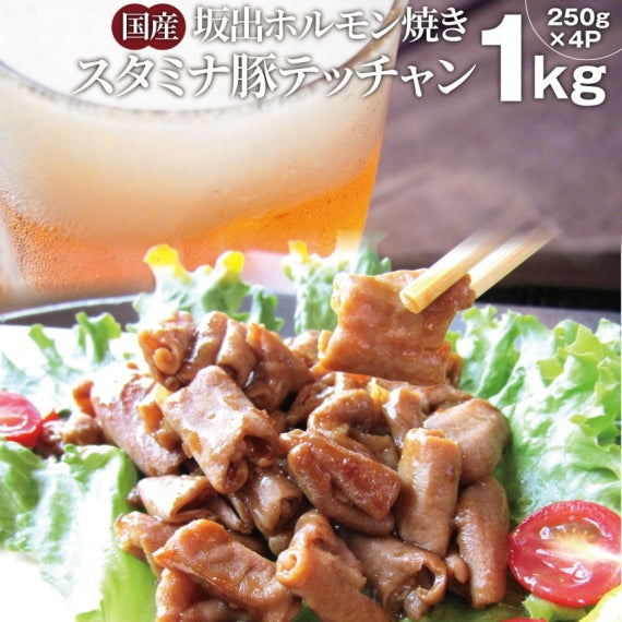 坂出ホルモン焼き スタミナ 国産 豚テッチャン 1kg (250g×4P) 焼肉 BBQ ホルモン焼き グルメ もつ キャンプ キャンプ飯*送料無料