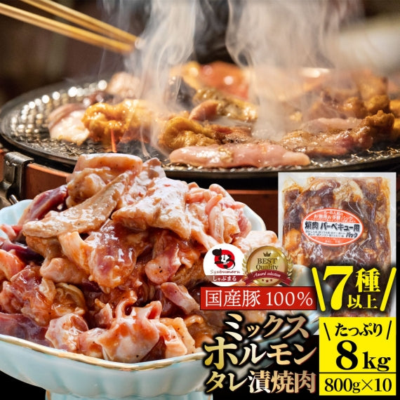 ホルモン ミックス 焼肉 800g 国産豚100% 秘伝 タレ漬け バーベキュー  肉 焼くだけ 冷凍*当日発送対象