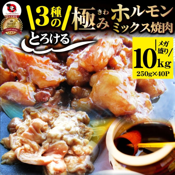 三種 ホルモン ミックス 焼肉 1kg(250g×4パック)秘伝 タレ漬け バーベキュー BBQ 肉 焼くだけ 冷凍キャンプ キャンプ飯