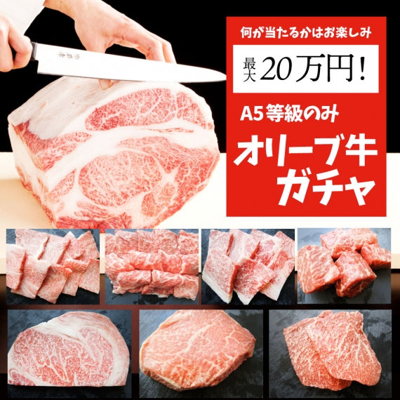 A5等級 オリーブ 牛 ガチャ 1kg以上