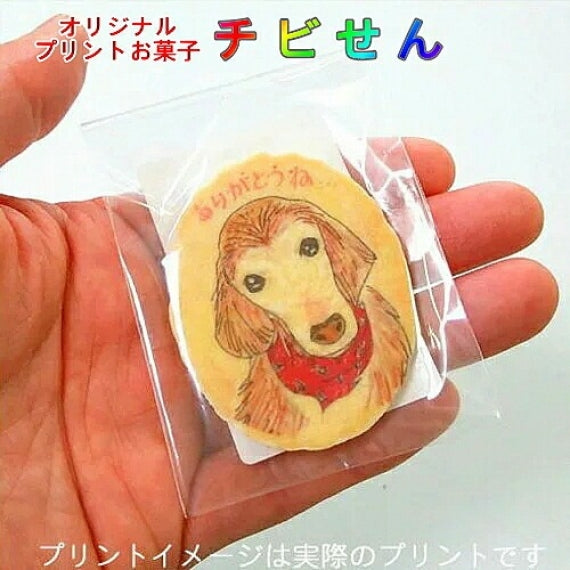 ごちそう産ページ Amazon.co.jp: ペットライン 懐石zeppin キャットフード 5つの