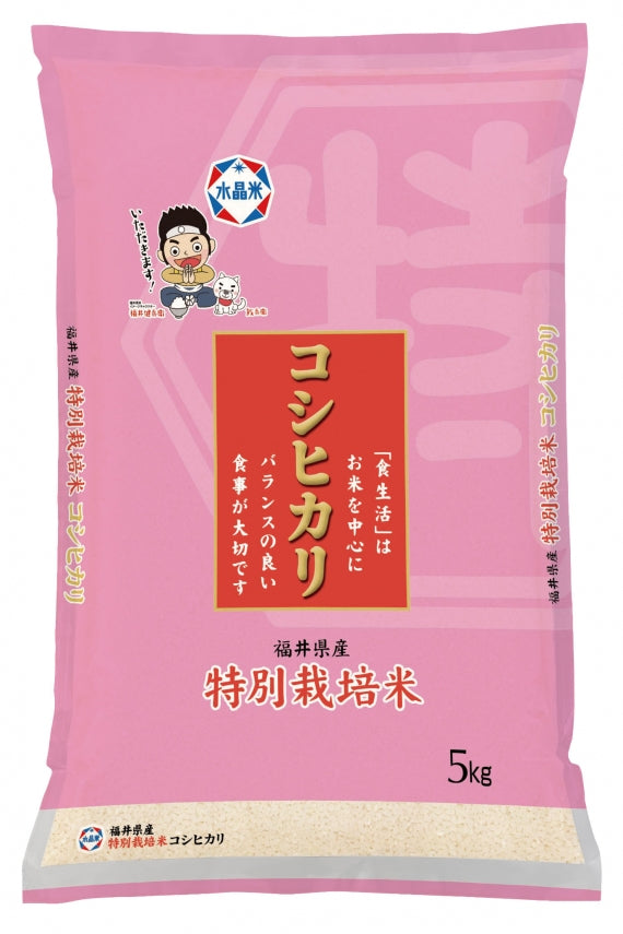 福井県産 令和4年産 特別栽培米コシヒカリ5キロ2袋セット（送料無料