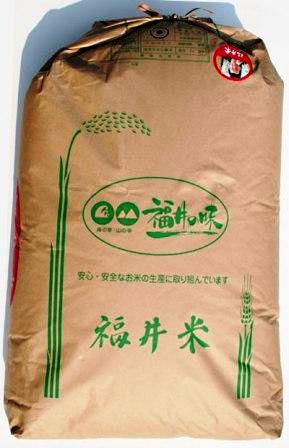 福井県産 令和5年産 コシヒカリ玄米30キロ(送料無料) 福井　米