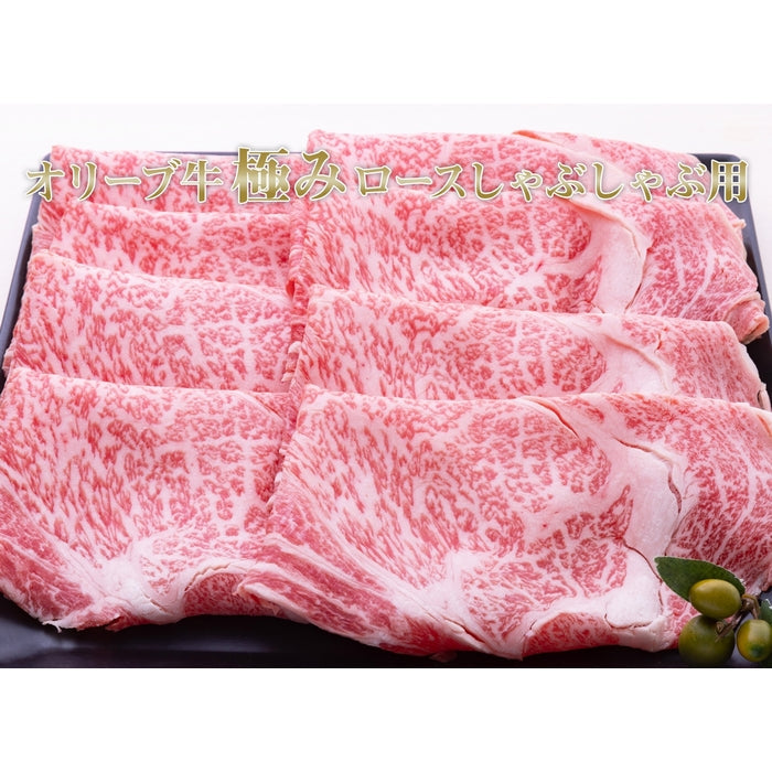 【A5ランク限定使用】☆ひるおび!で紹介されました!☆ オリーブ牛 極みロース / しゃぶしゃぶ用(500g)