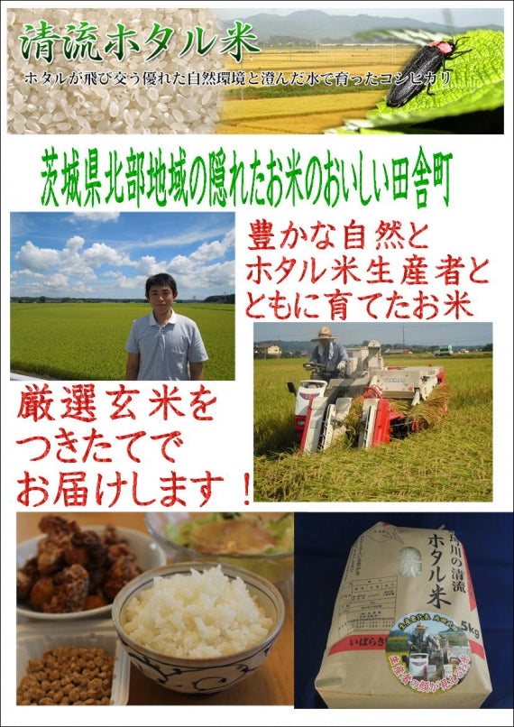 ホタル米（厳選茨城産コシヒカリ）　無洗米　5ｋ★　令和4産