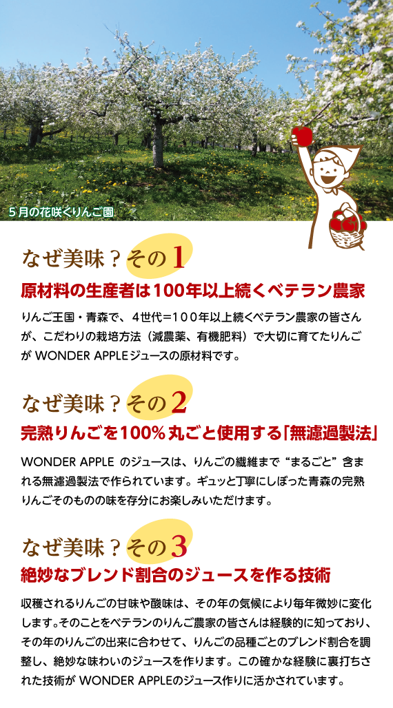 青森県産　りんごジュース　ＷＯＮＤＥＲ　ＡＰＰＬＥ　おまかせ　６種詰め合せセット　１２本入り【送料無料】