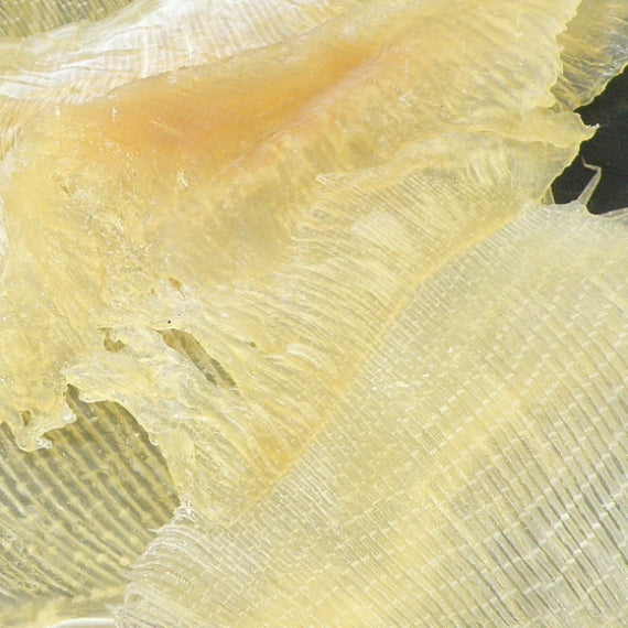えいひれ100g単位の量り売り