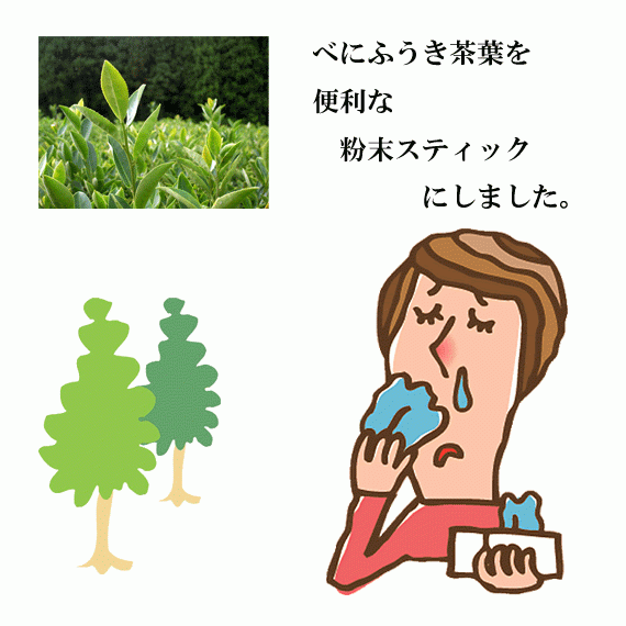 花粉の季節に!黄綬褒章受章園 北村製茶の有機緑茶      べにふうき粉末スティック