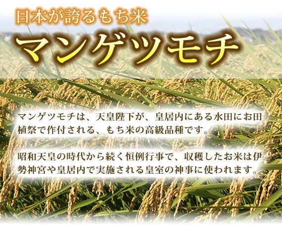 自社農園栽培マンゲツモチ　茨城産一等米使用 5キロ 2000円