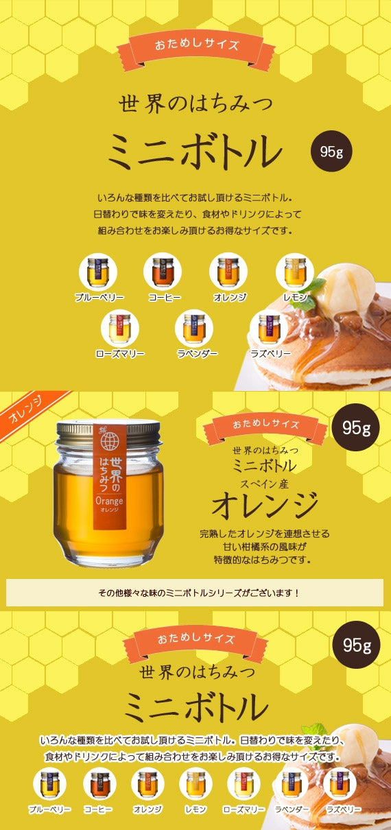 オレンジハチミツミニボトル （95g）